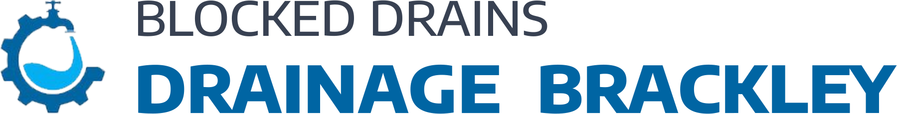 website logo